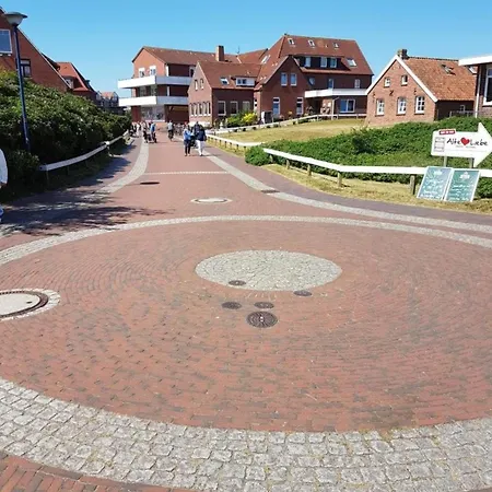 Strandschnuppe Auf Baltrum