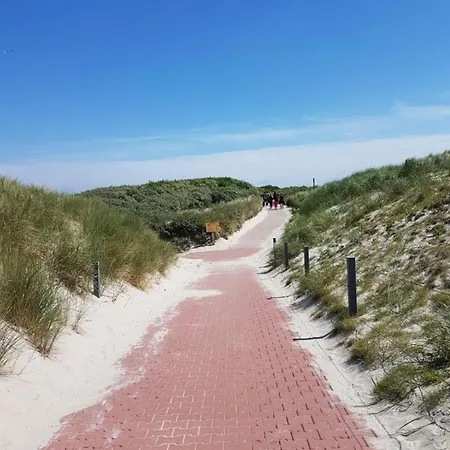 Strandschnuppe Auf *