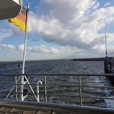 Strandschnuppe Auf